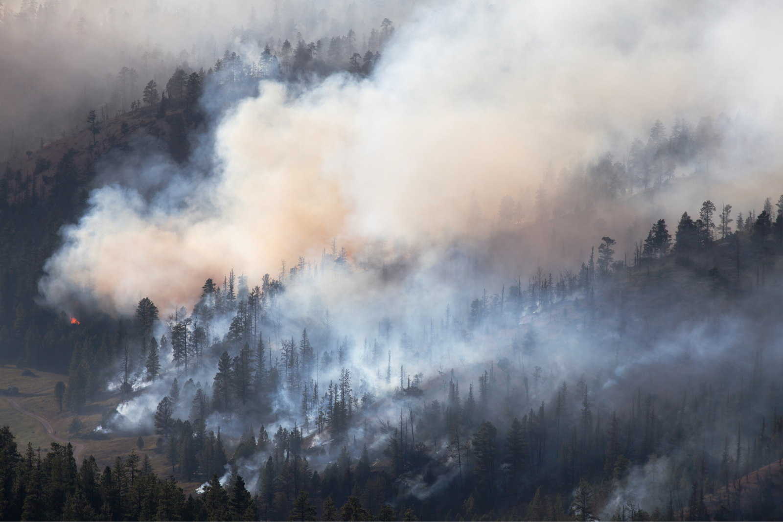Why Are Air Quality Risks Changing in the US? | First Street
